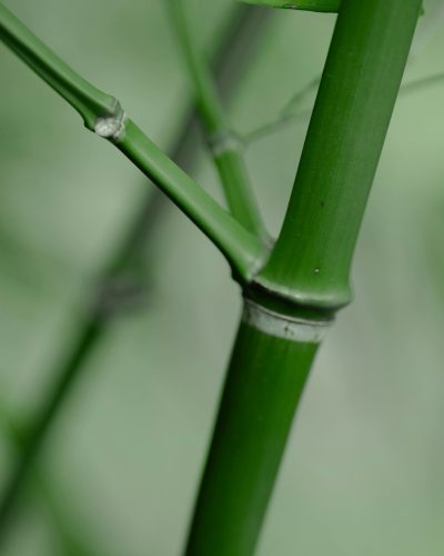 volodymyr-leush-qXwcU3HAeQ0-unsplash